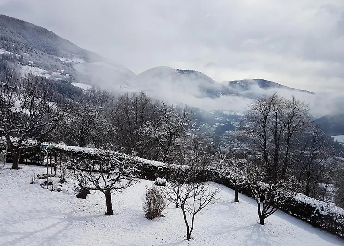 Am Dabor ראדנטיין